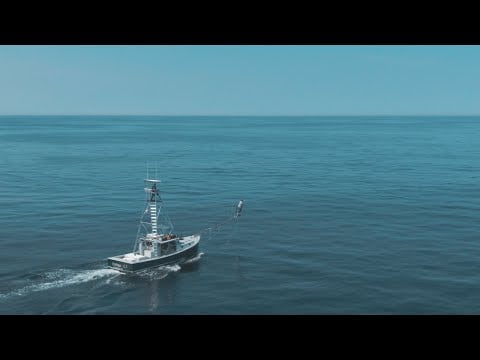 Harpooning Tuna off Cape Cod - My Fishing Cape Cod