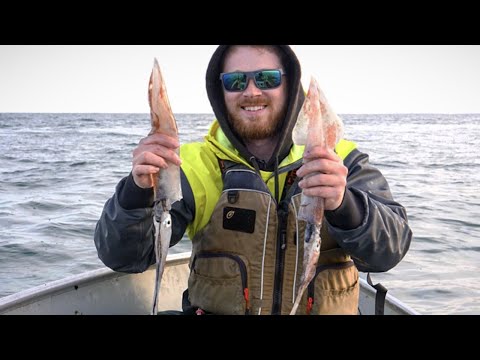 Squid Fishing on Nantucket Sound [video] - My Fishing Cape Cod