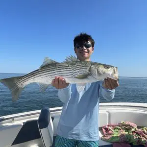 Post with Author Intro