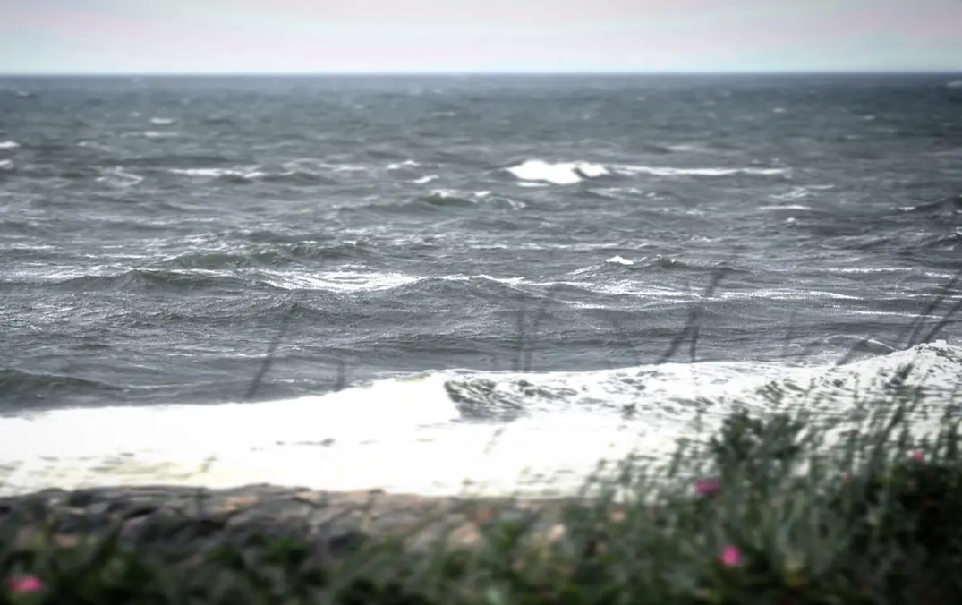 memorial day weekend 2021 cape cod nor' easter fishing