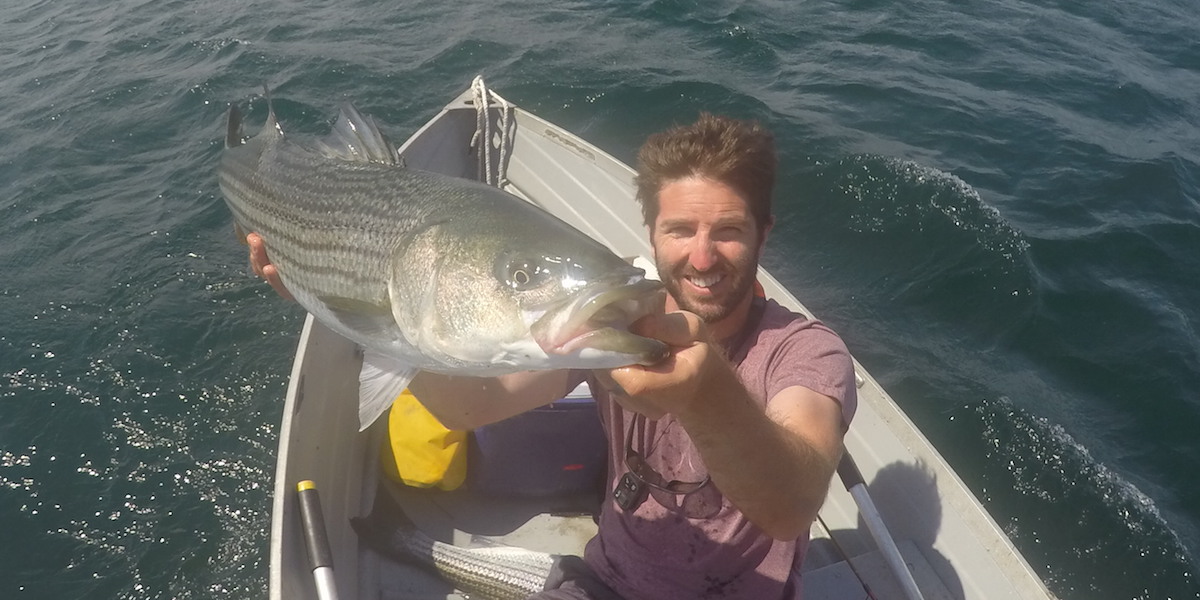 How To Fish The Trout Magnet/Power Bait Combo (MEMBERS ONLY) - My Fishing  Cape Cod