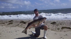 Fishing Cape Cod