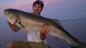 Striped Bass Fishing Techniques