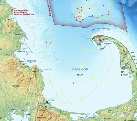 Cape Cod Bay Fishing Chart