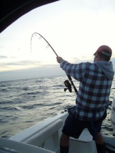 fishing cape cod