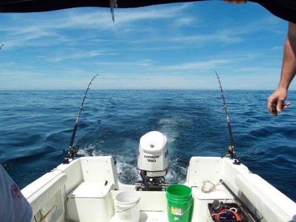 Trolling Soft Plastics for Stellwagen Bank Tuna - My Fishing Cape Cod