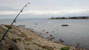 Cape Cod striper fishing report