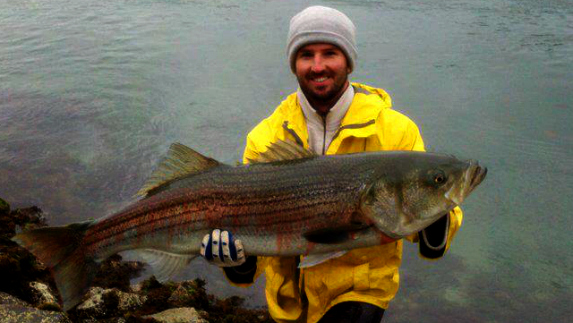 Stripers on Cape Cod Canal : r/bassfishing