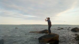 cape cod fishing report