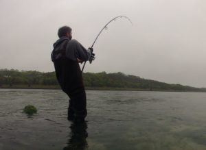 The 3 BEST Lures for Cape Cod Canal Fishing