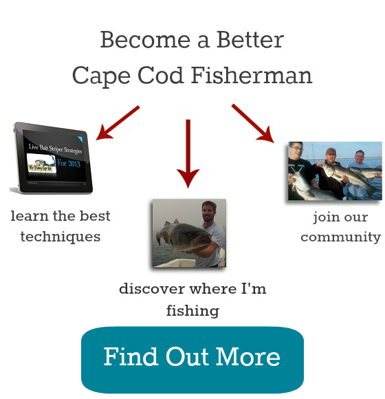 cape cod massachusetts fishing spots