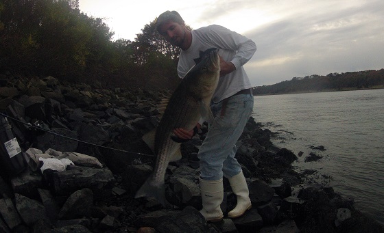 Cape Cod Canal Fishing without Getting Frustrated