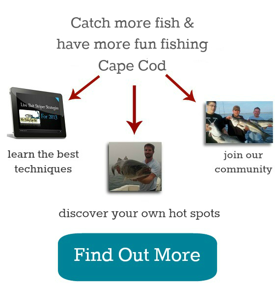 may cape cod fishing spots