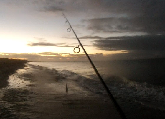 Nighttime Swimbait Fishing for Largemouth Bass on Cape Cod - My Fishing  Cape Cod