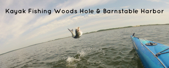 kayak fishing woods hole and barnstable harbor