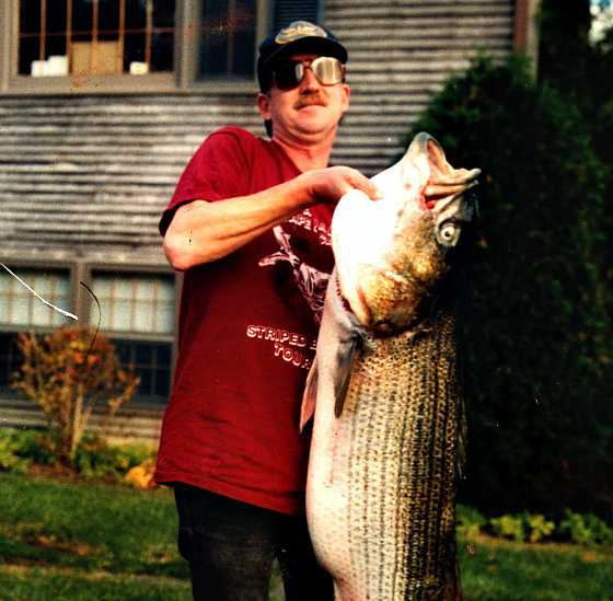 A History Of Cows: The Biggest Striped Bass On Record - The Fisherman