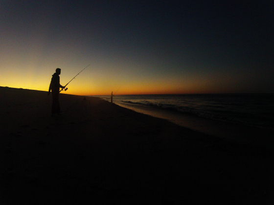 EPIC Surf Fishing Technique with LIVE Bait