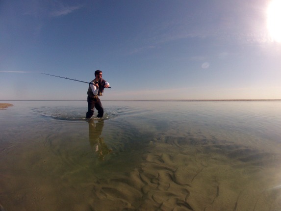 Fishing The Flats Of Cape Cod Bay During June - My Fishing Cape Cod