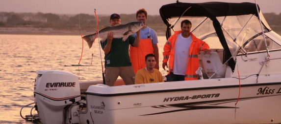 cape cod trolling for striped bass