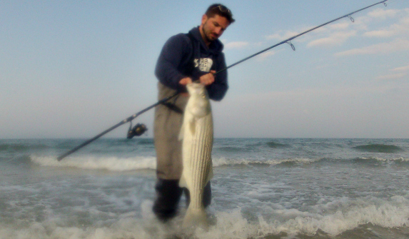 outer cape cod spring striped bass