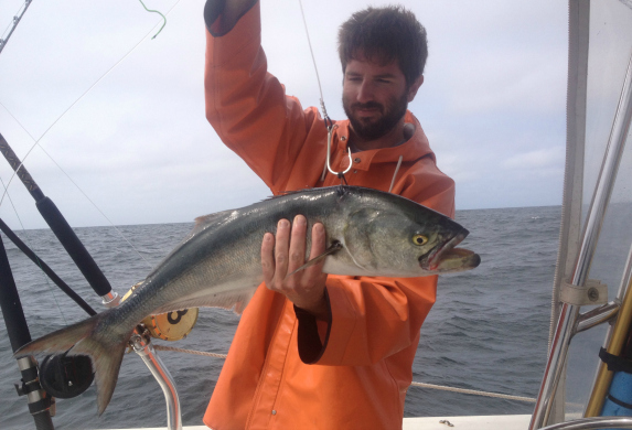 Cape Cod Kite Fishing for Giant Tuna
