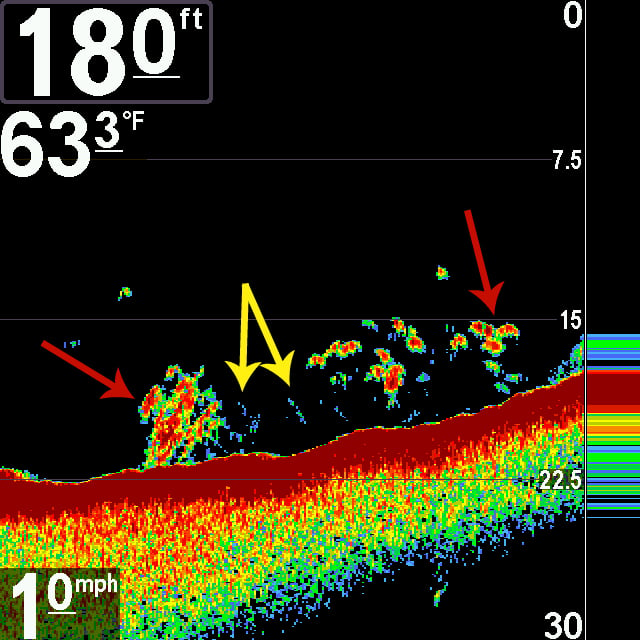 Understanding Your Sonar 101 - My Fishing Cape Cod