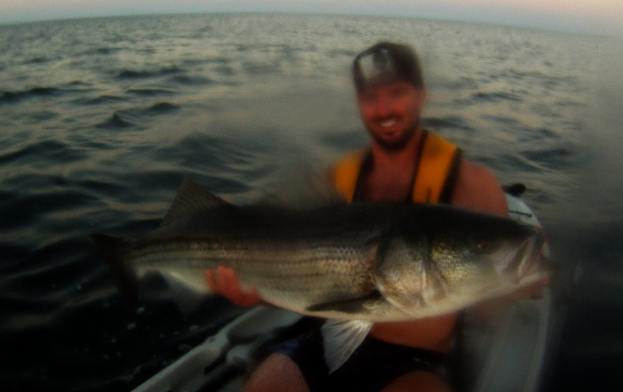 40 pound striped bass kayak fishing on cape cod