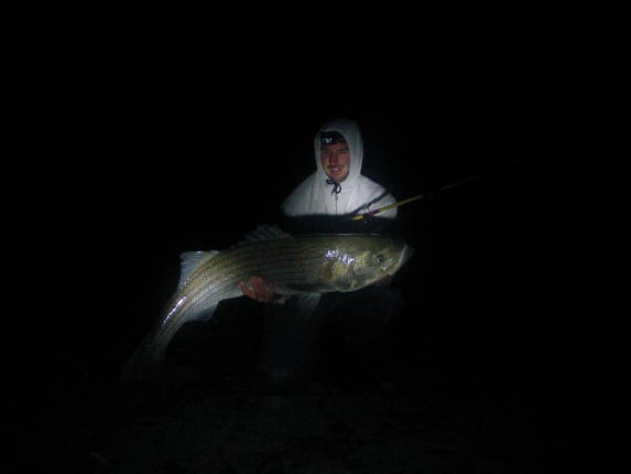 40 pound cape cod striped bass beach fishing