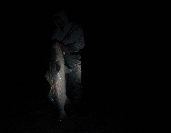 night fishing on cape cod's beaches