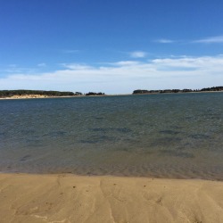 fly fishing cape cod flats for striped bass