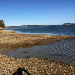 fly fishing cape cod moss banks for striped bass