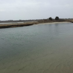 fly fishing outflows on cape cod