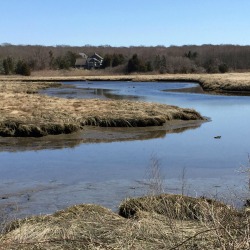 fly fishing cape cod creeks and rivers