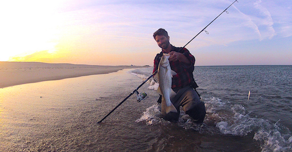 outer cape cod fishing report surfcasting for stripers