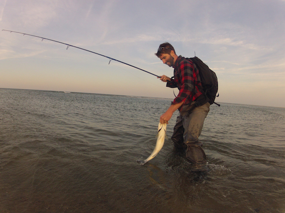 outer cape cod surfcasting striped bass may 25 ryan collins