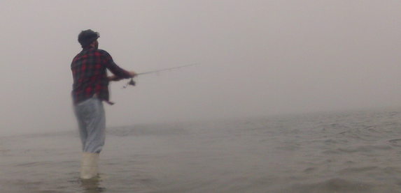 cape cod surfcasting report striped bass in skinny water