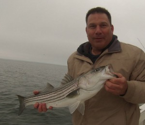 cape cod striped bass fishing report may 9 darren jacobs