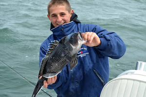 sea bass fishing on cape cod with cullen lundholm