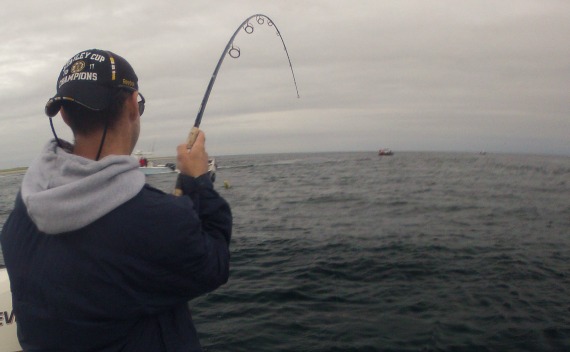 bent rod striped bass fishing on cape cod
