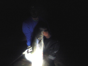 ryan collins my fishing cape cod striper at night during group surfcasting trip