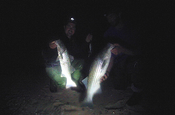 doubles cape cod surfcasting for stripers late june 2015