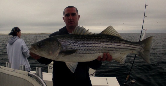 cape cod fishing report for june 19 2015