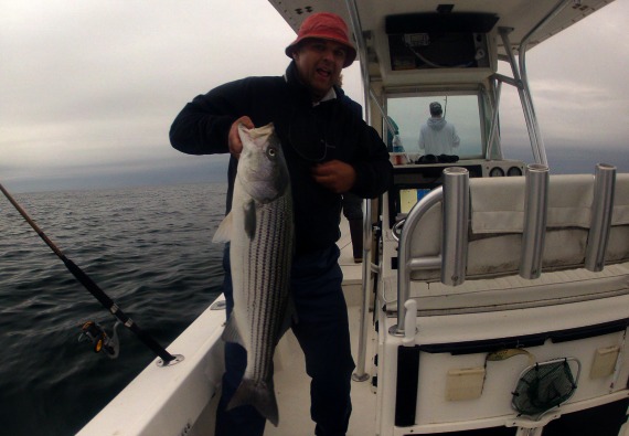 june 19 cape cod striped bass fishing report