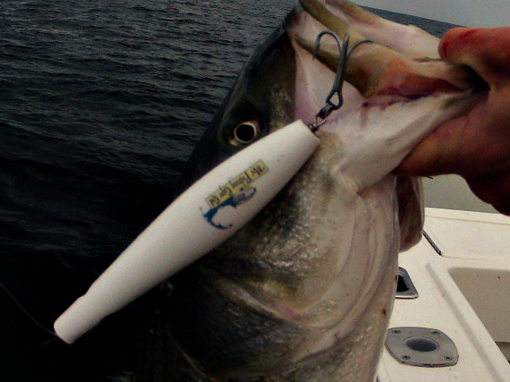 my fishing cape cod guppy pencil popper