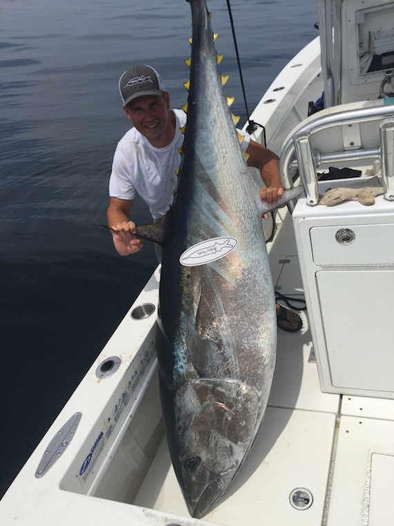 bob hovey giant tuna