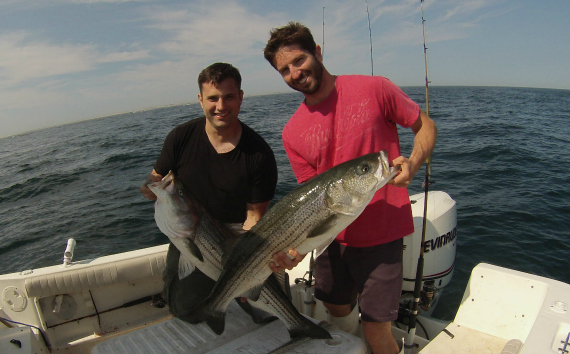 david benoit ryan collins striped bass fishing on cape cod