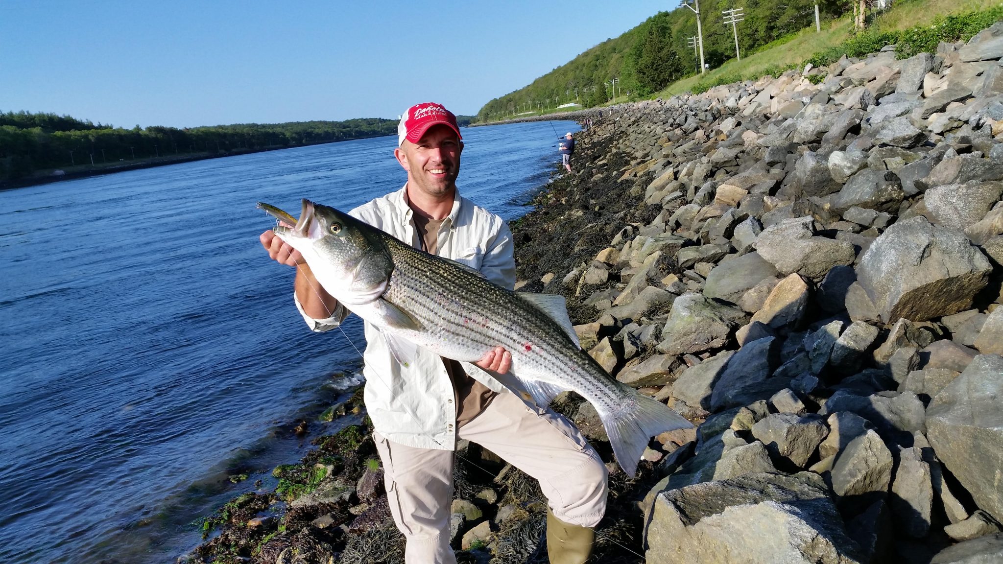 August 7th Cape Cod Canal Fishing Report