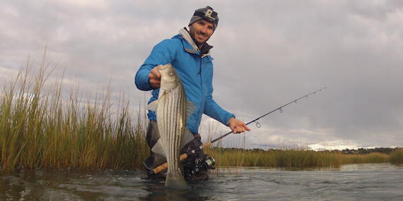 October striped bass in a cape cod bay