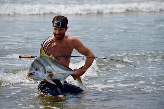 Roosterfish in the Costa Rica Surf