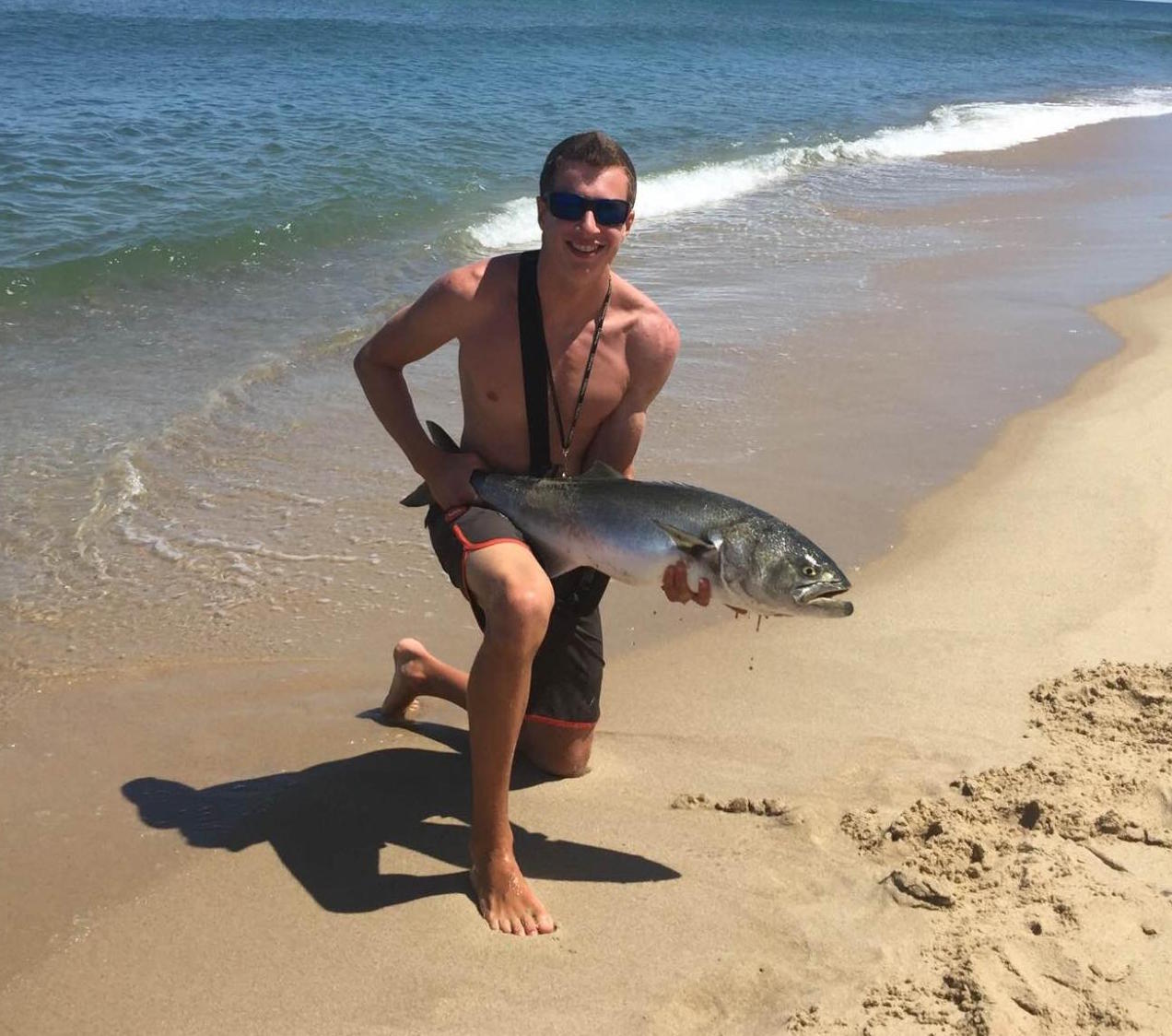16.9 pound outer cape cod bluefish